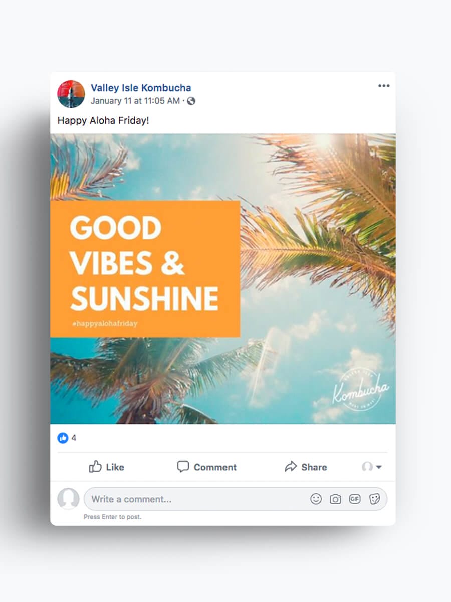 Valley Isle Kombucha — Facebook Marketing