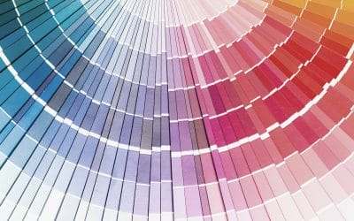 Your Brand Colors Matter: How to Choose and What They Say About Your Organization